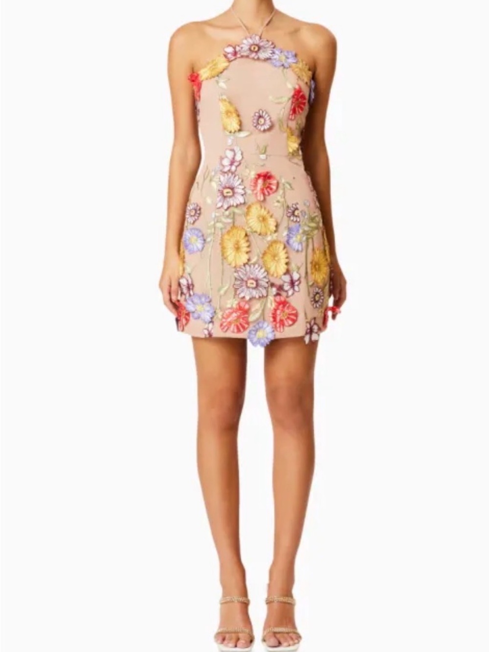 Elliatt Nude Strapless Mini Dress with Multicolor Floral Embroidery